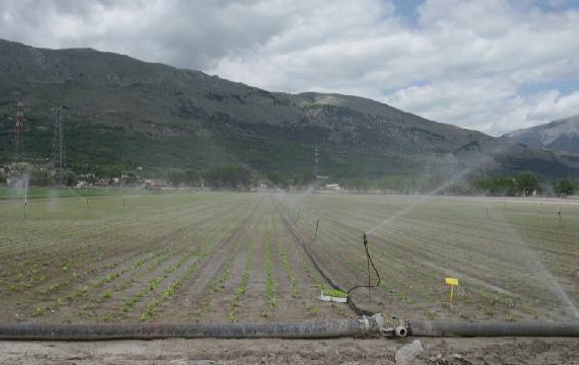 Irrigazione